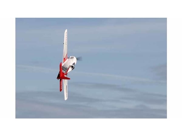 RR RACEWOLF - Bilde 9