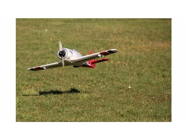 RR RACEWOLF - Bilde 7